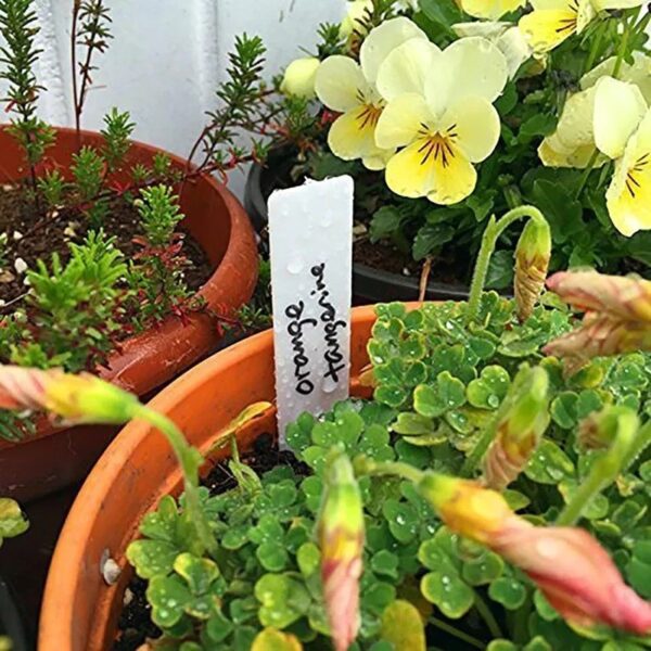 Garden Plant Labels Plant Accessories Flower Pots Plastic Plant Tags Nursery Markers Seedling Label Tray Mark Diy Tool - Image 3